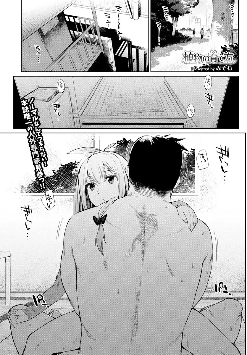 【エロ漫画】童貞の男が感情を持たない美少女型の植物を買って慰めてもらっていたが、ある日自然に返してやろうと山に連れて行くと自我が芽生え青姦しちゃったwww