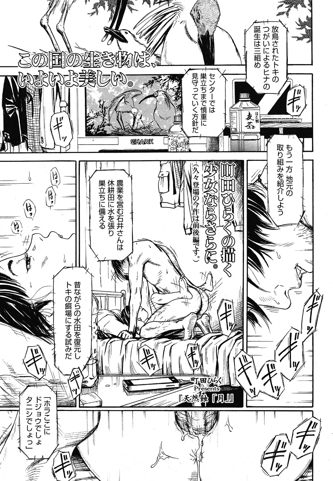 【エロ漫画】地震速報が鳴ってる中でロリJCの女の子がイチャラブセックス！正常位でマンコにチンポを生ハメしてザーメンを中出し！後日親が居ない家でアナルファックｗｗｗ