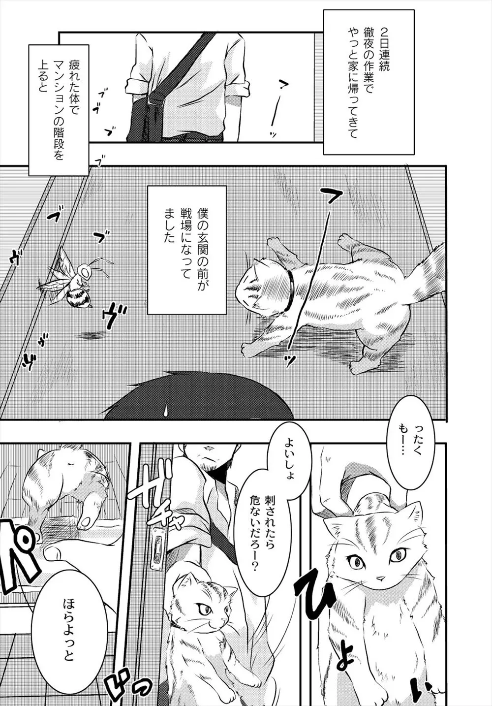 【エロ漫画】猫と戦って劣勢になっていた蜂の姫を助けたら人間の姿になって恩返しに来た！パイズリフェラしてもらって顔射してパイパンマンコに生ハメ中出しｗｗｗ