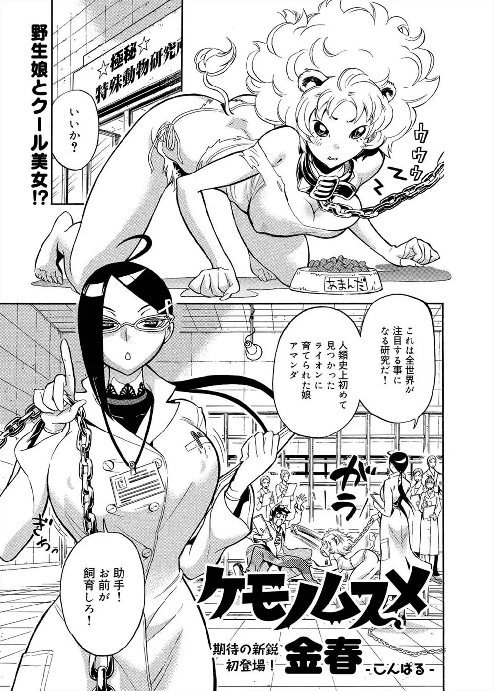 【エロ漫画】ライオンに育てられたけもの娘を手懐けようとしていたらチンコを襲われてしまう助手の男、よく見ると可愛いけもの娘に勃起が収まらず騎乗位セックス！