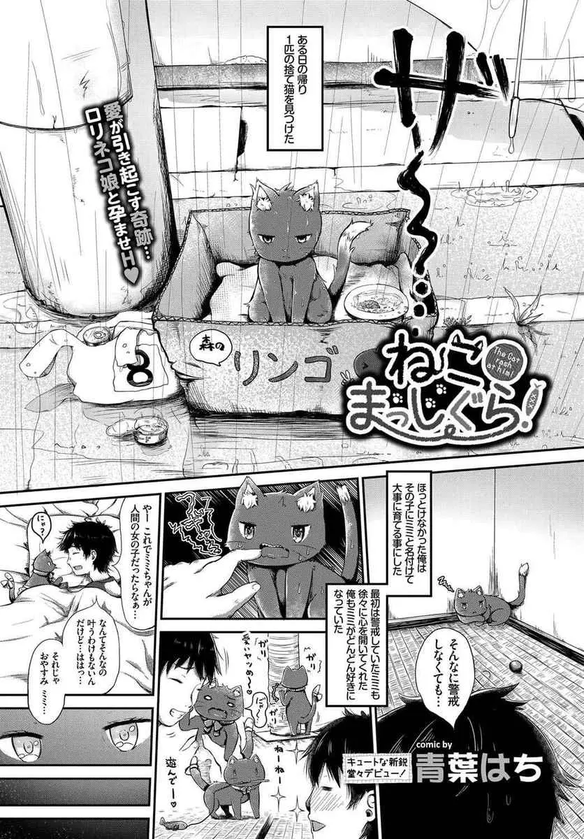 【エロ漫画】拾ってきた猫の面倒を見てやってこれが女の子だったらと思い眠りについて起きると猫耳美女にフェラされてた！パイパンマンコに中出ししたったｗｗｗ