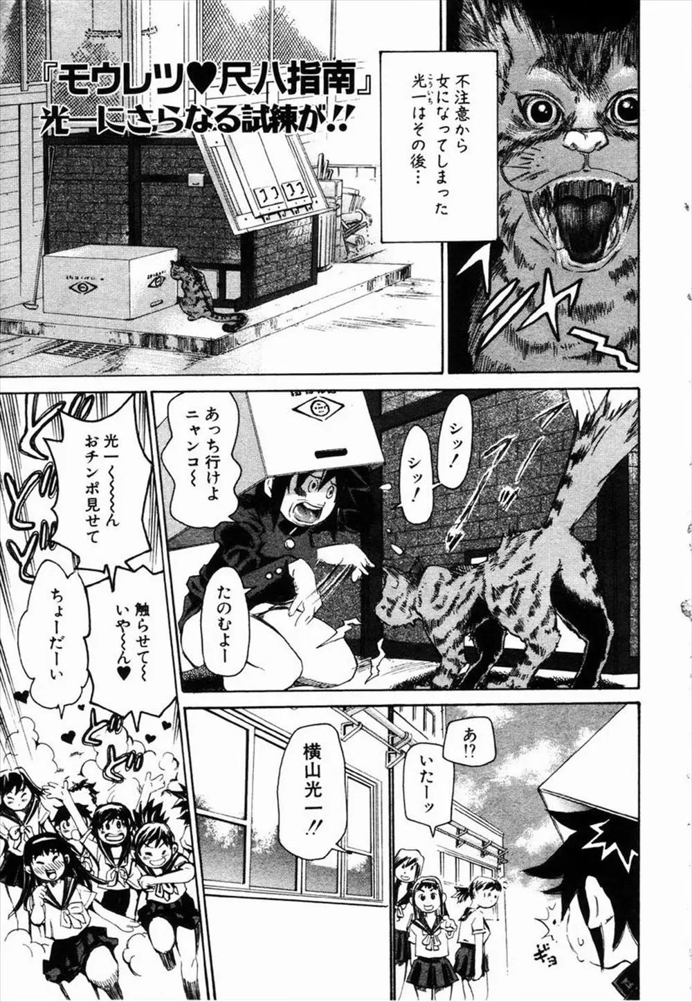 【エロ漫画】女体化して女の子になってしまった男子、そんな男子が尺八倶楽部に入部して女の子とエッチしまくり、何回射精してもカチカチチンポに巨乳教師がたまらず騎乗位プレイ！