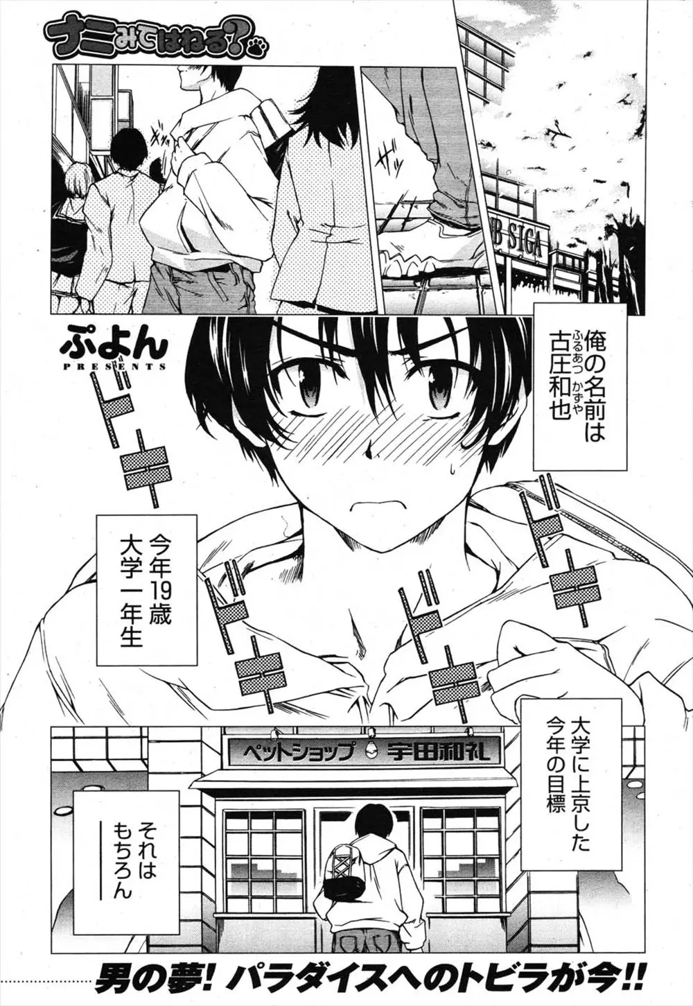 【エロ漫画】脱童貞を目指す大学生が向かった先は美少女ペットショップそこで手に入れた美少女の卵どんな娘が出るのか妄想してたら卵がわれ、うさみみ美少女が現れたｗｗｗ